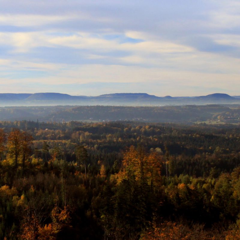 Landschaft